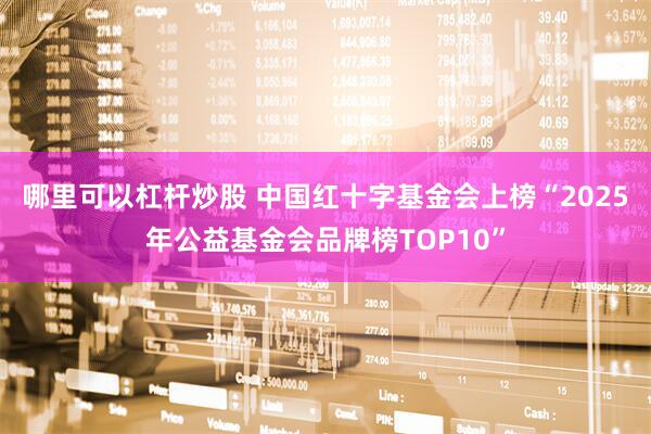哪里可以杠杆炒股 中国红十字基金会上榜“2025年公益基金会品牌榜TOP10”