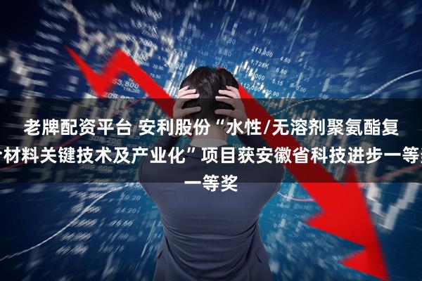 老牌配资平台 安利股份“水性/无溶剂聚氨酯复合材料关键技术及产业化”项目获安徽省科技进步一等奖