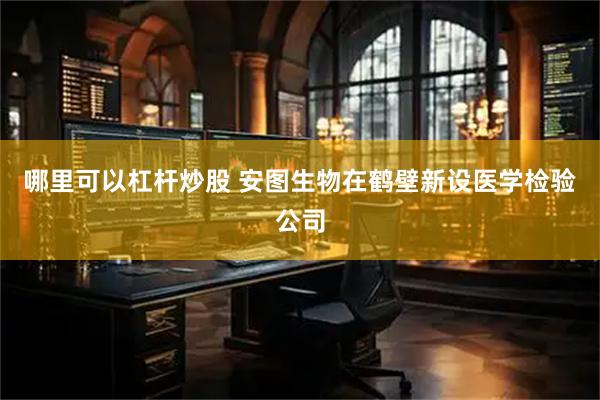 哪里可以杠杆炒股 安图生物在鹤壁新设医学检验公司