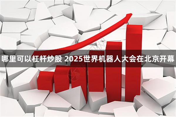 哪里可以杠杆炒股 2025世界机器人大会在北京开幕