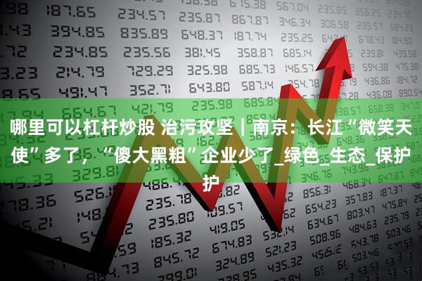 哪里可以杠杆炒股 治污攻坚｜南京：长江“微笑天使”多了，“傻大黑粗”企业少了_绿色_生态_保护