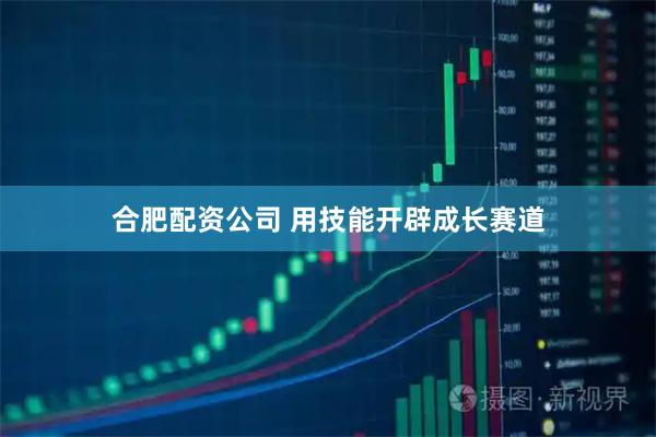 合肥配资公司 用技能开辟成长赛道