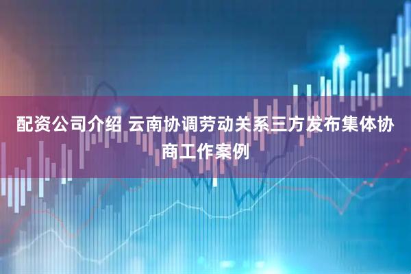 配资公司介绍 云南协调劳动关系三方发布集体协商工作案例